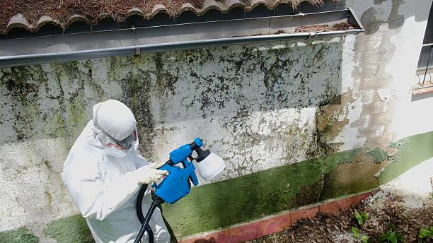 Top rated local Mold Remediation specialists in Lexington, NC